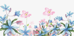 清新花卉手绘小清新花卉植物高清图片