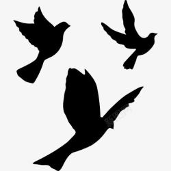 鸟的外形轮廓飞翔的鸽子群图标高清图片