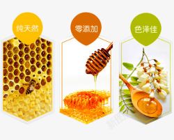 黄色蜂巢蜜纯天然蜂蜜高清图片