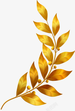 闪耀树枝金色闪耀枝条植物高清图片