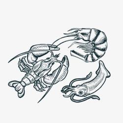 海味大龙虾线稿手绘不同的虾高清图片