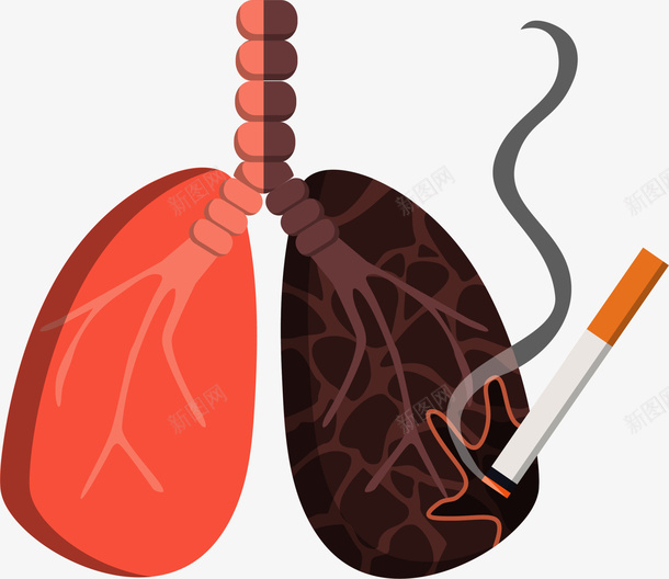 卡通抽烟燃烧的肺png免抠素材_新图网 https://ixintu.com 5月31日 nosmoking 不准吸烟 世界无烟日 健康 卡通肺部 吸烟后的肺部对比图 戒烟 抽烟 燃烧的肺 禁止吸烟 肺部图案 黑肺