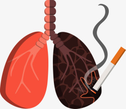 肺部器官图卡通抽烟燃烧的肺高清图片