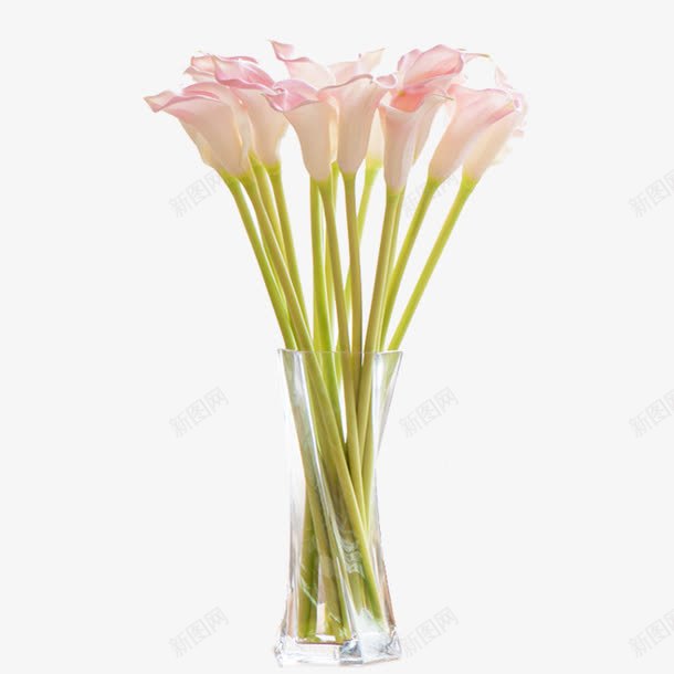 花瓶花卉png免抠素材_新图网 https://ixintu.com 家居装饰 粉色花卉 透明花瓶