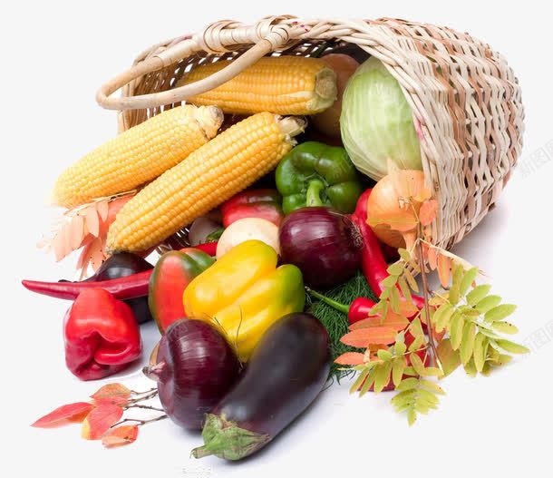 蔬菜png免抠素材_新图网 https://ixintu.com 玉米 甜椒 茄子 菜篮子 菜类图片 蔬菜