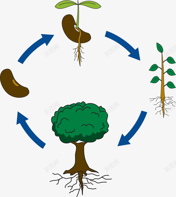 植树节绿色春季种子png免抠素材_新图网 https://ixintu.com 大树 春天 春季 春日 植树节 种子 种植 自然