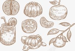 手绘酸梅汁手绘素描柚子水果高清图片