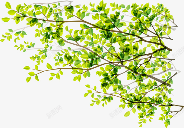 绿色植物数字png免抠素材_新图网 https://ixintu.com 免抠PNG 数字 植物 清新 绿色 美丽 自然