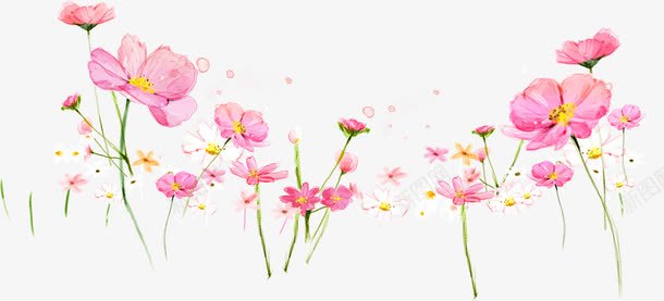 粉色花卉水彩画风景png免抠素材_新图网 https://ixintu.com 水彩画 粉色 花卉 风景