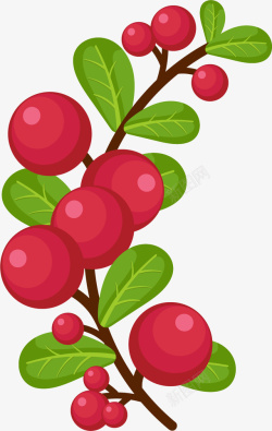 鲜红色手绘蔓越莓素材
