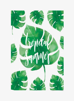 龟背竹海报水彩绘夏季热带树叶卡片矢量图高清图片