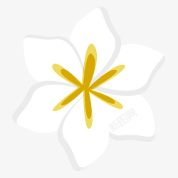 栀子花的简约白色栀子花花朵矢量图素材