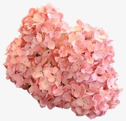 花粉色花淘宝素材仿真家居装饰花粉色花球高清图片