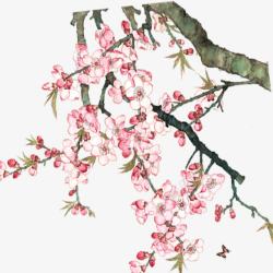 春季踏青旅行桃花花朵图案素材