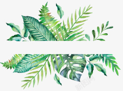 绿叶装饰画绿色手绘的植物边框高清图片
