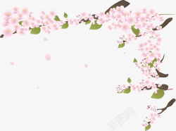 粉色春季美丽桃花素材