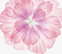 日系花朵粉色系花瓣绽放高清图片