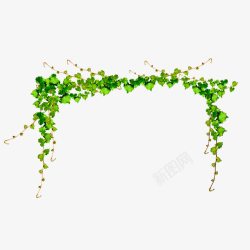 婚礼花门花园中的绿色藤蔓高清图片