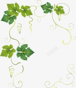 绿色藤蔓矢量图葫芦藤蔓高清图片