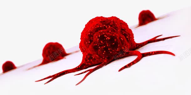 癌细胞红细胞png免抠素材_新图网 https://ixintu.com 病菌 癌症 癌细胞 素材 红色细胞 细胞 美图