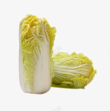 两个大白菜png免抠素材_新图网 https://ixintu.com png图片 两个大白菜 产品实物 时令蔬菜 绿色食品免费png 进口蔬菜