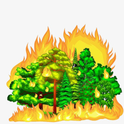 火与树着火的树木高清图片