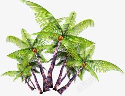 夏日摄影椰子树效果杂乱素材