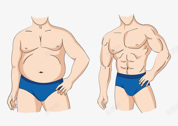胖瘦对比png免抠素材_新图网 https://ixintu.com 健壮 健壮身材 卡通 可爱 强壮 手绘 男士 肌肉 肥胖对比 蓝色