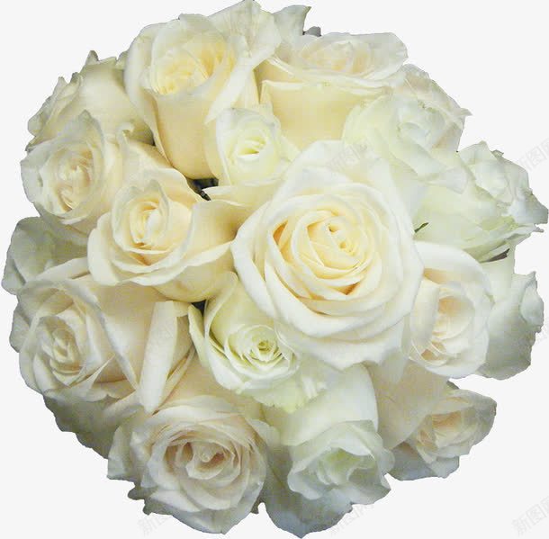 白玫瑰花球装饰元素png免抠素材_新图网 https://ixintu.com 白玫瑰 白色 花球 装饰元素