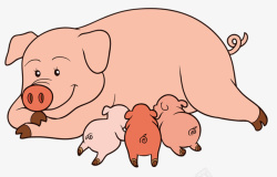 母猪手绘小猪动画高清图片