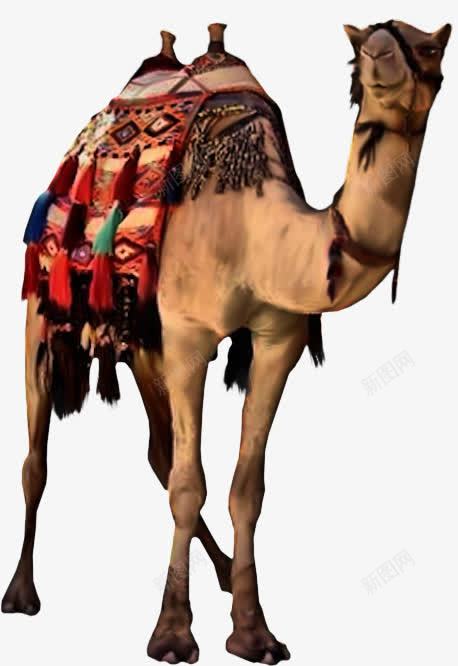 沙漠之舟骆驼png免抠素材_新图网 https://ixintu.com 坐骑 沙漠之舟 骆驼 骆驼科生物
