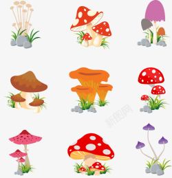 彩绘蘑菇特色卡通蘑菇高清图片