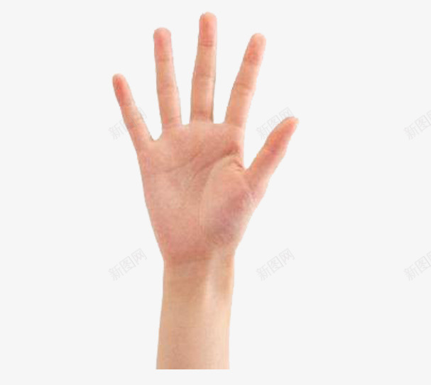 举起来的五指手掌png免抠素材_新图网 https://ixintu.com 举起 五指 人手 免扣 实物 手势 手指 手指方向 高清