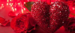 红色玫瑰花鲜花特写唯美大气盒装玫瑰花海报背景高清图片