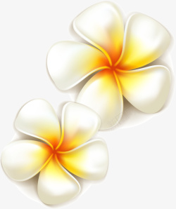 美丽黄色花朵矢量素美丽白色花朵装饰高清图片