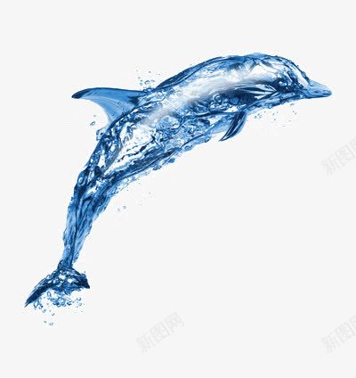 水合成的海豚png免抠素材_新图网 https://ixintu.com 保护 海洋 生物