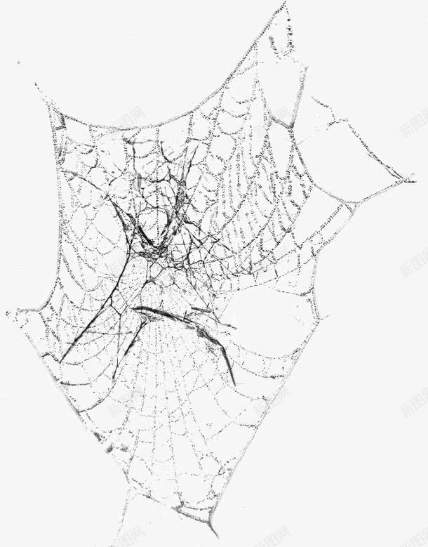 黑白蜘蛛网蜘蛛png免抠素材_新图网 https://ixintu.com 网 蜘蛛 蜘蛛网 黑白
