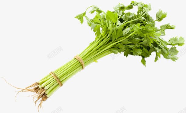 绿色蔬菜芹菜捆绑png免抠素材_新图网 https://ixintu.com 捆绑 绿色 芹菜 蔬菜
