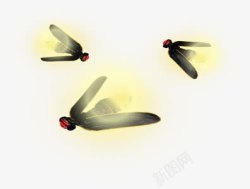 萤火虫的翅膀可爱萤火虫高清图片