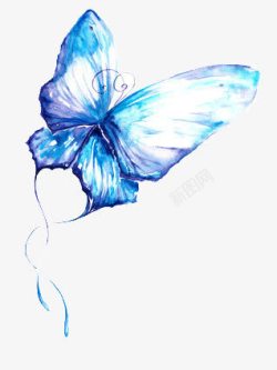 一只蓝色的蝴蝶素材