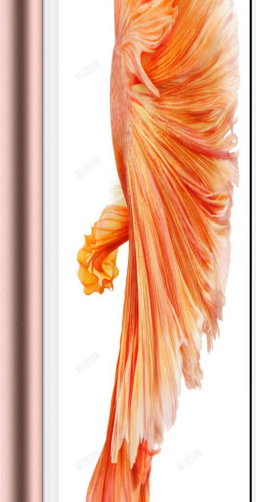 苹果手机6spng免抠素材_新图网 https://ixintu.com 手机 粉色 苹果 金色