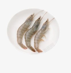 白虾盘子里的白虾高清图片