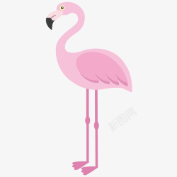 长腿鸟粉红色火烈鸟绘画矢量图高清图片