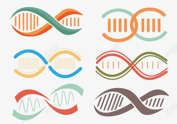 多个双螺旋向量png免抠素材_新图网 https://ixintu.com DNA分子 双螺旋结构 基因结构