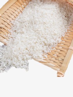 农家粮食簸箕里的大米高清图片