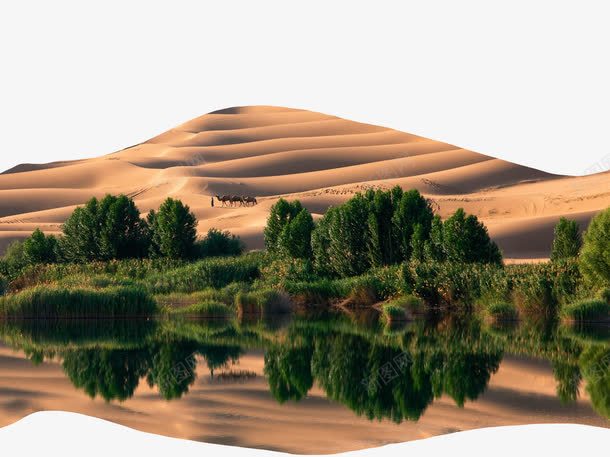 沙漠绿洲png免抠素材_新图网 https://ixintu.com 沙漠 绿水 绿洲 设计自然