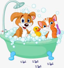 沐浴小狗一起洗澡的小猫小狗高清图片