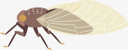 昆虫种类振翅卡通手绘蝉矢量图高清图片