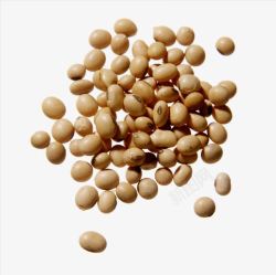 大豆蛋白散落的多个大豆粒子高清图片