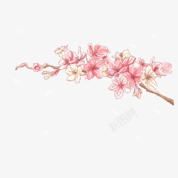中国风梅枝粉色水彩彩绘矢量图素材